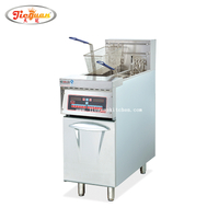 vertical 2 tank digital computer fryer with 2 basket
