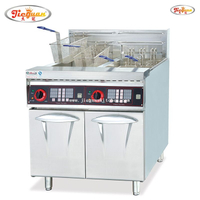 2 tank Electric 28L fryer with timer 